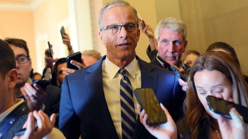 Thune guarantees voter ID bill to hit the Senate despite Schumer, Dem opposition: ‘We will have a vote’